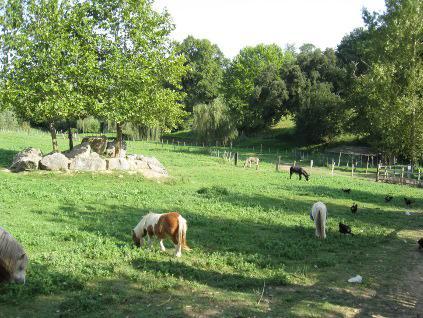 Отель La Ferme Des 4 Chenes Urt Экстерьер фото